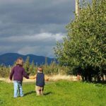 Kiyokawa Family Orchards (Mount Hood, OR)