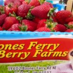 Boones Ferry Berry Farm (Hubbard, OR)