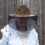 Bee Wrangler Honey & Bee Rescue (Ethel, WA)