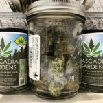 Orchards Cannabis Market (Vancouver, WA)