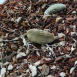 Spice Pilgrim Teas & Spices (Clackamas, OR)