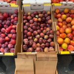 Maryhill Fruit Company (Goldendale, WA)
