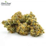 Silver Stem Fine Cannabis Dispensary (East Denver, CO)