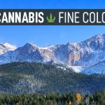 Silver Stem Fine Cannabis Dispensary (Englewood, CO)