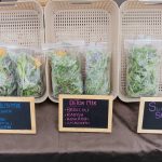 Harvest of Peace Microgreens (La Center, WA)