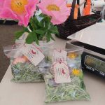 Harvest of Peace Microgreens (La Center, WA)
